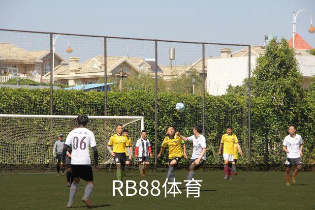RB88体育公司简介图片